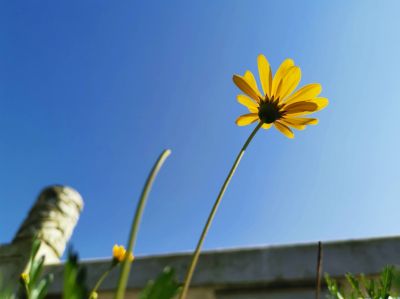 大二学生自我鉴定表范文7篇