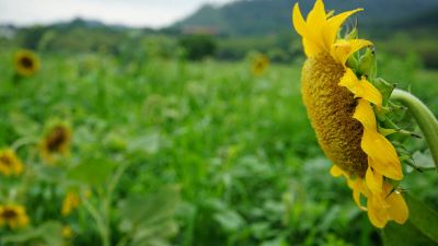 社区医院个人工作总结范文最新5篇