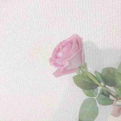 《繁星.春水》的读后感5篇