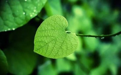 疫情防控先进个人事迹8篇