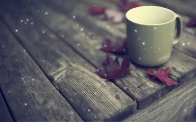 繁星·春水的读后感300字5篇