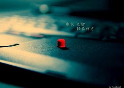 夜校毕业自我鉴定5篇