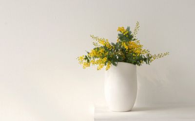 有关动画电影《我们的冬奥》观后感范文三篇
