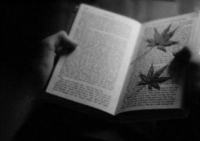 精神科活动方案优秀6篇
