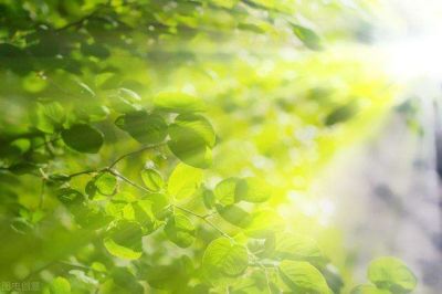 学校财务月总结推荐5篇