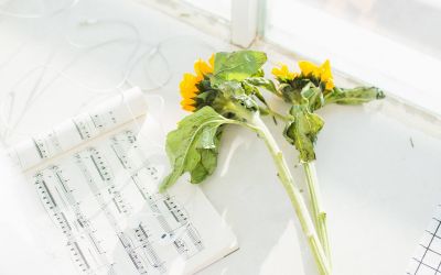 暑期新教师培训总结参考8篇