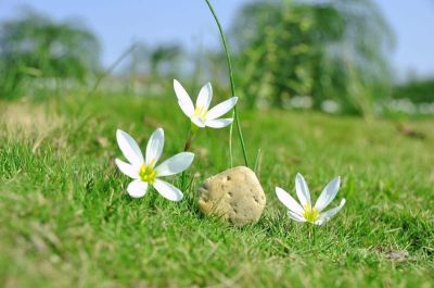 实用版我们的节日清明节活动总结四篇