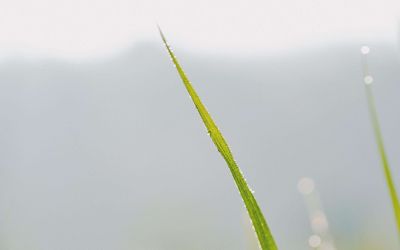 感恩母亲节活动方案精选6篇