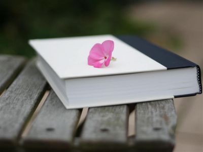 历史教学个人工作总结8篇